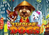 dogs fortune casino