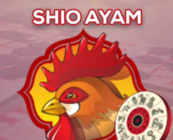 Toto Shio Ayam